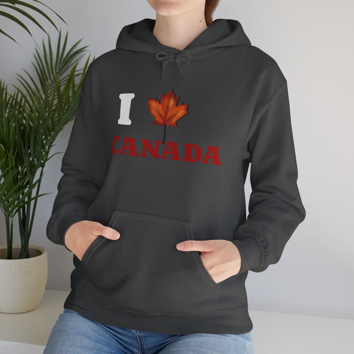I Love Canada Hoodie